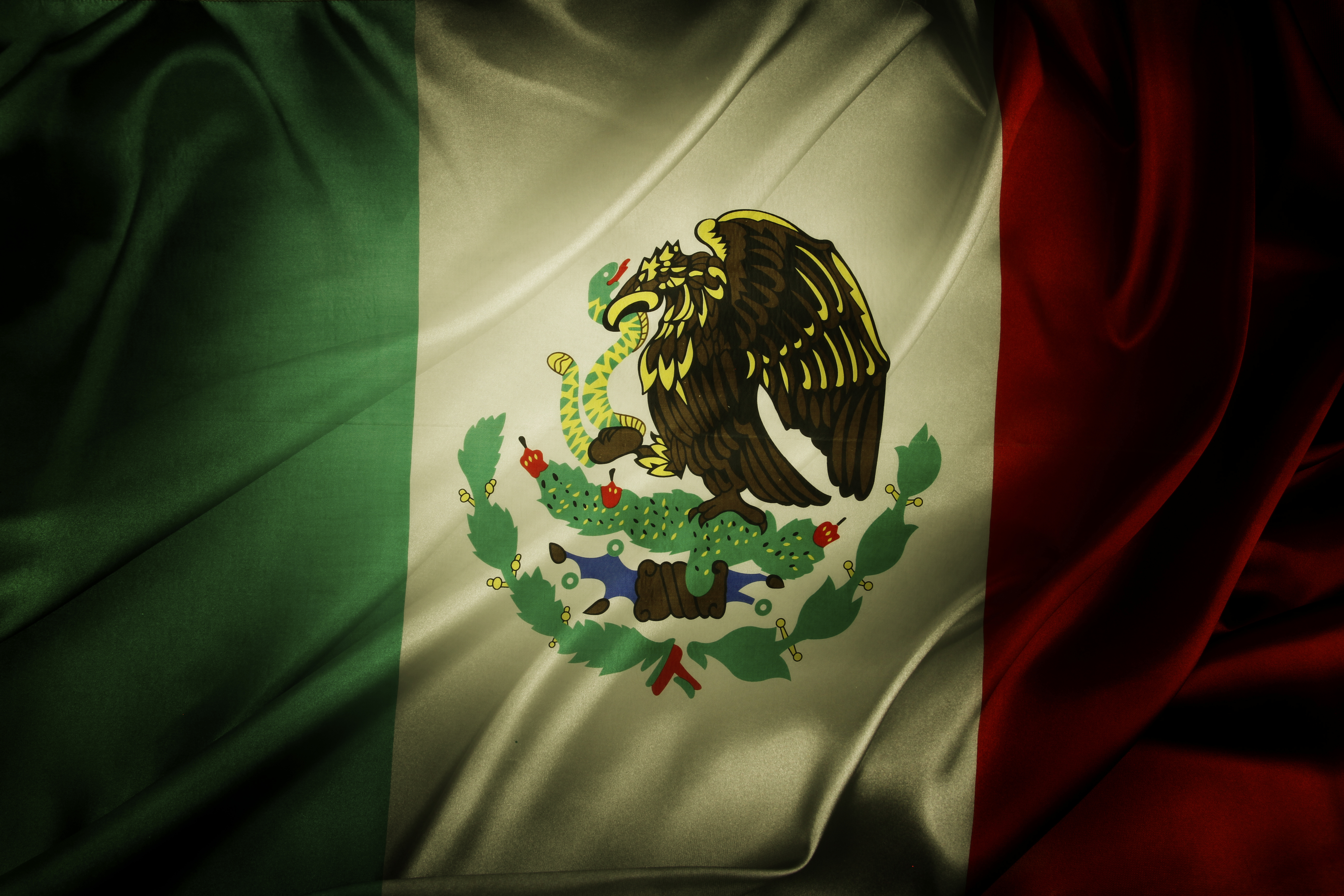 Mexican Flag