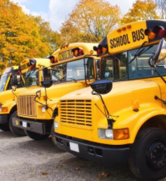 School Buses