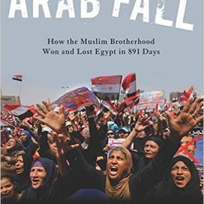Image for Arab Fall: How The Muslim Brotherhood Won And Lost Egypt In 891 Days