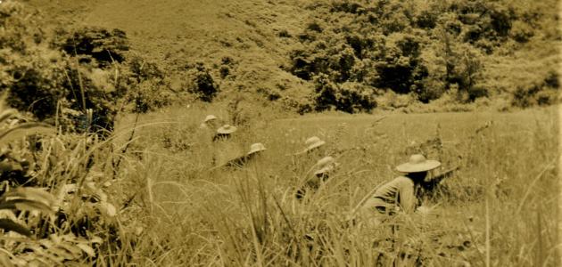 East River Column guerrilla warfare in Guangdong. Guerrillas crouching in a grassy field.