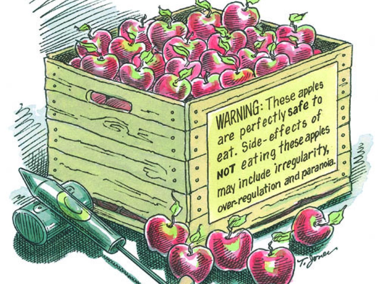 rotten apples