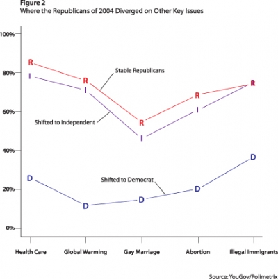 Figure 2. Where the Republicans of 2004 Diverged on Other Key Issues