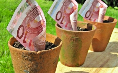 The Euro and the Tragedy of the Commons