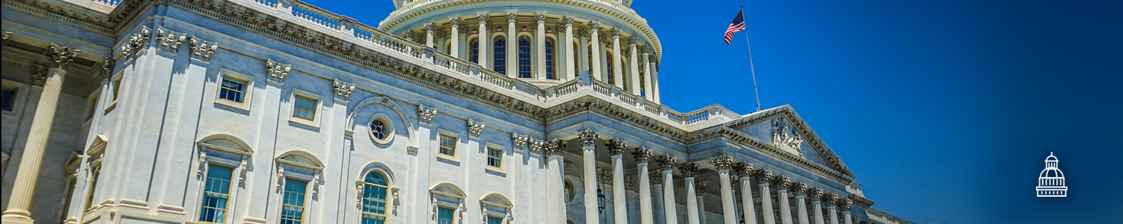 Congress Banner