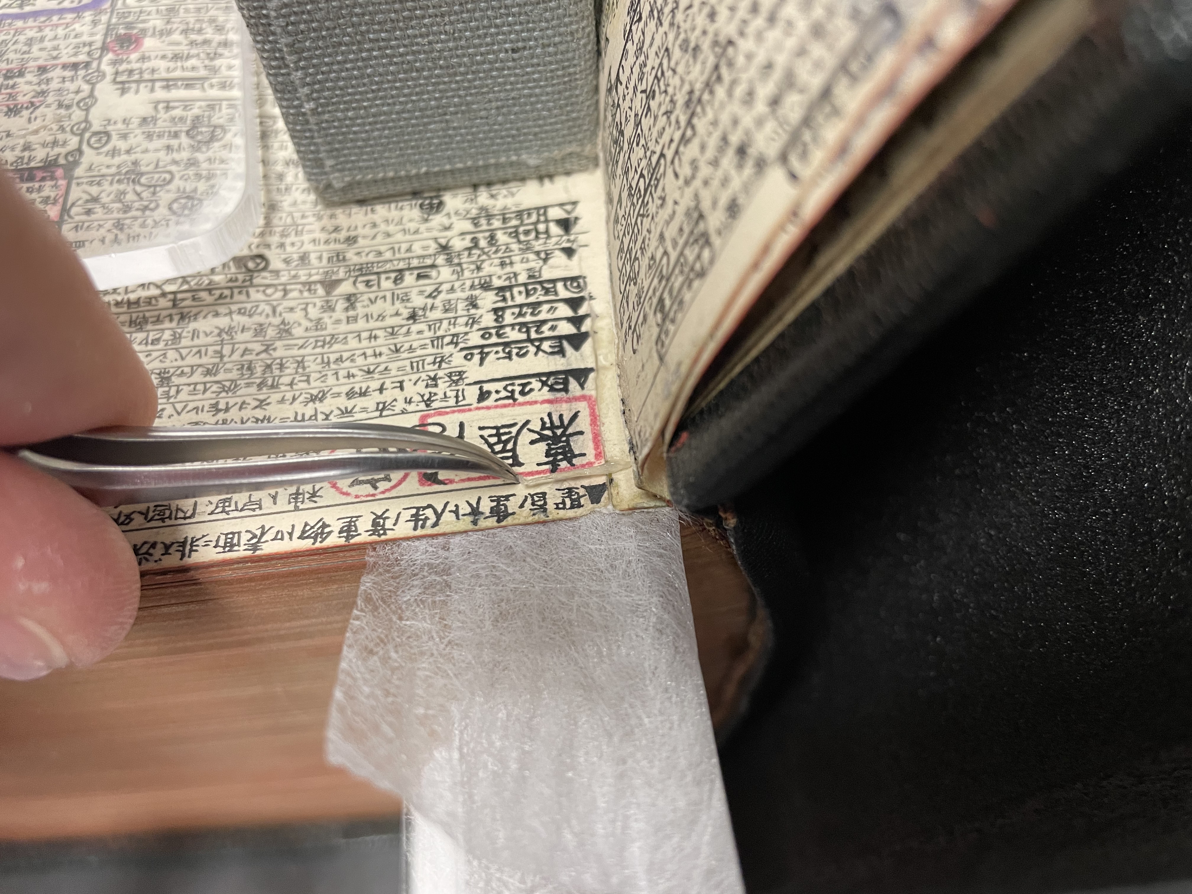 Companion Bible, stitch repairs between lines of text