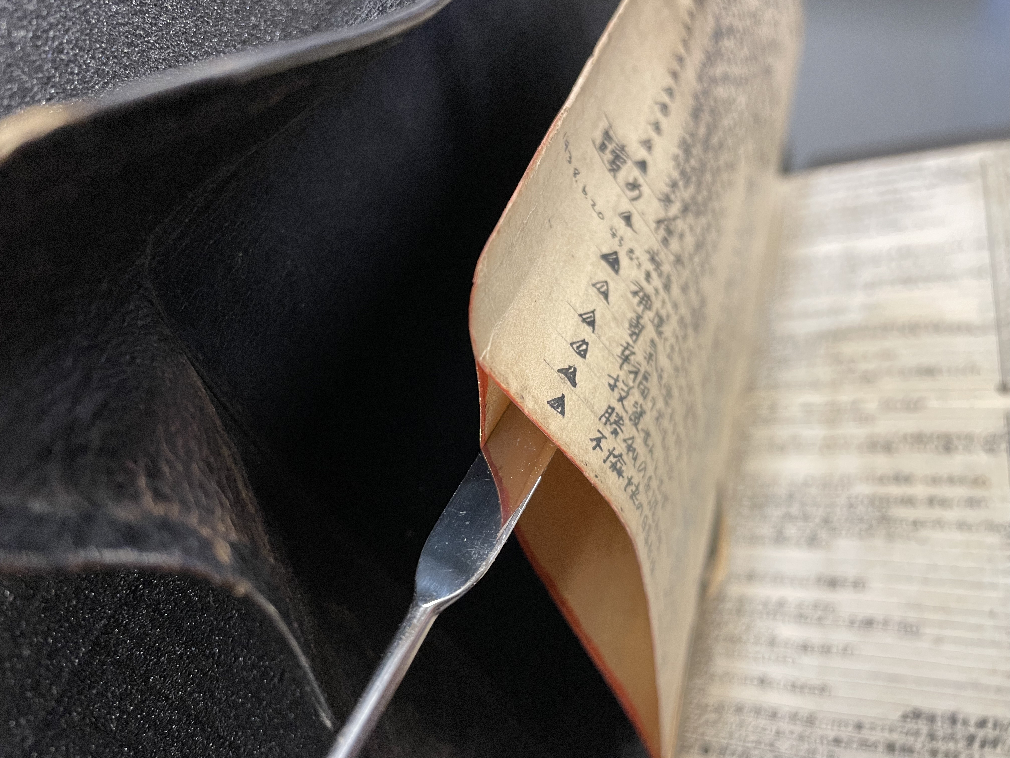 New Analytical Indexed Bible: the process of conservation allows access to hidden places.