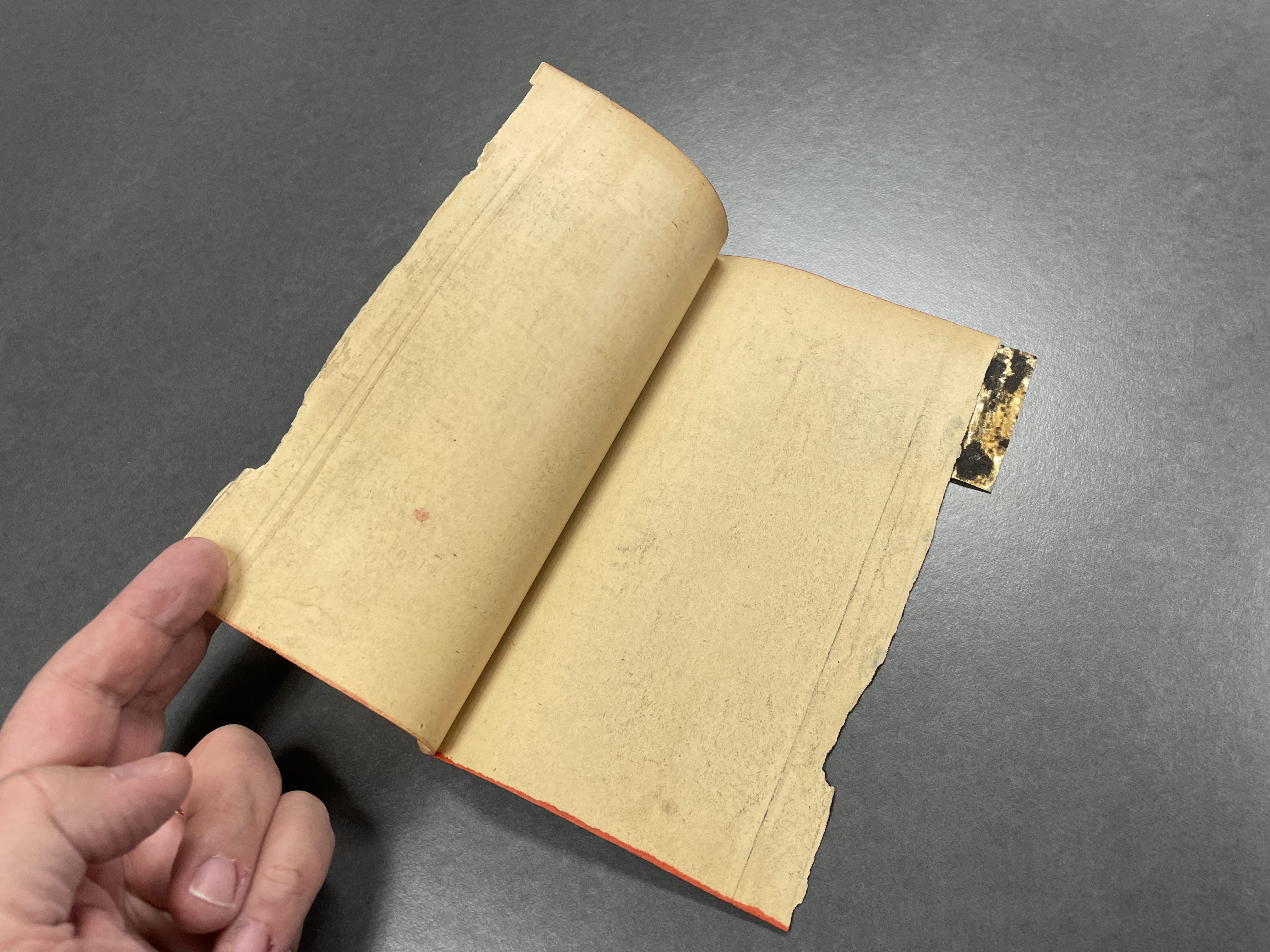 New Analytical Indexed Bible: the process of conservation allows access to hidden places.