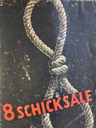 8 Schicksale book cover