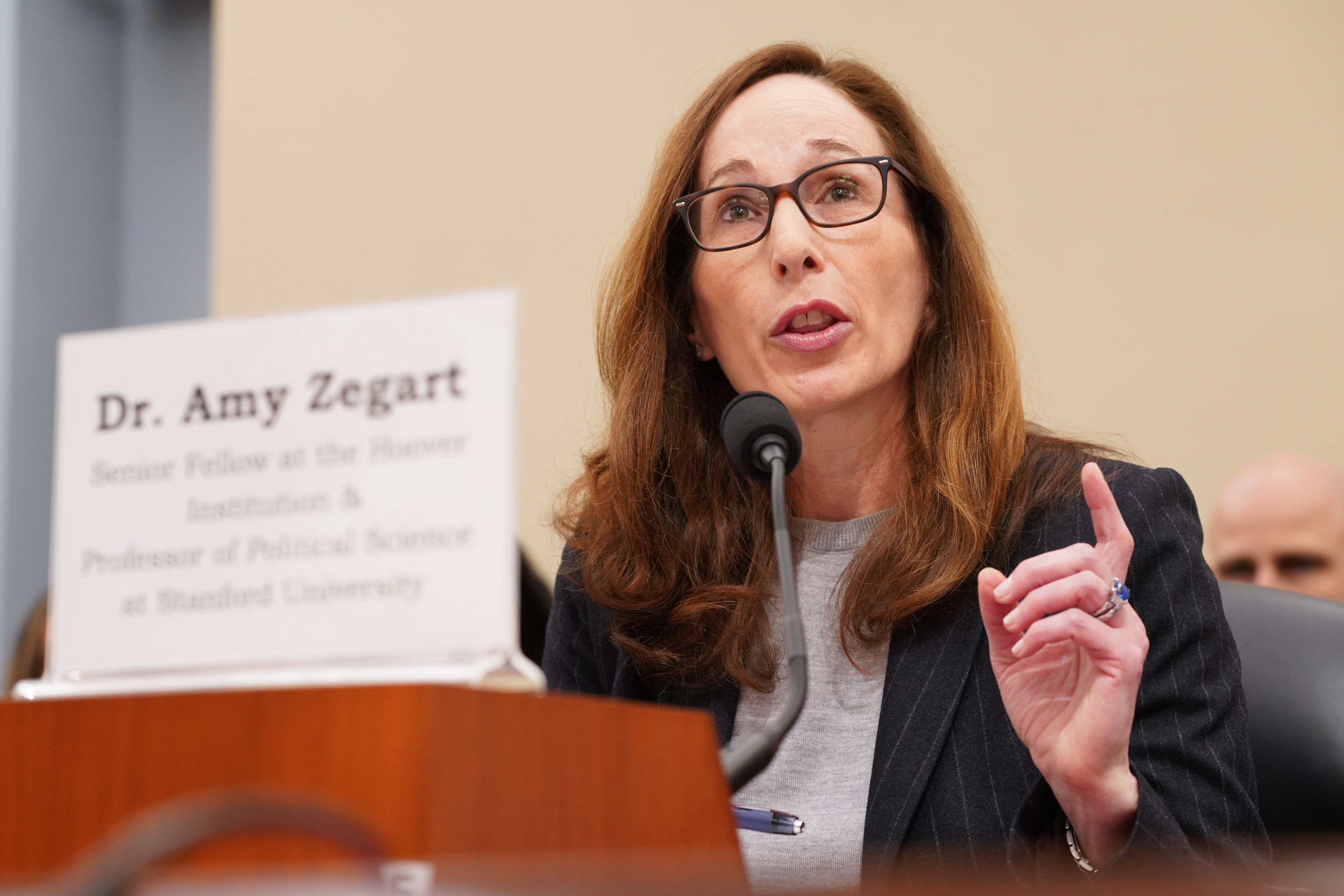 Amy Zegart: Intelligence Community Reform with Think Tank Leaders Open Hearing of the House Permanent Select Committee on Intelligence