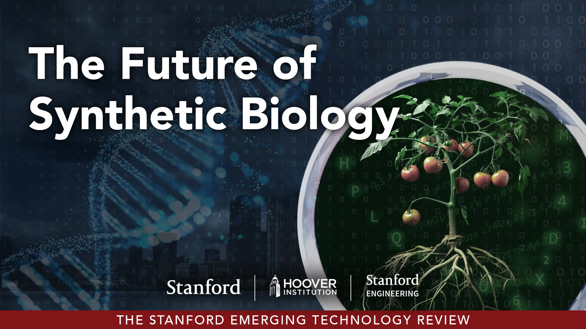 The Future of Synthetic Biology