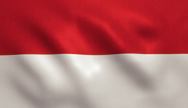 Indonesian Flag
