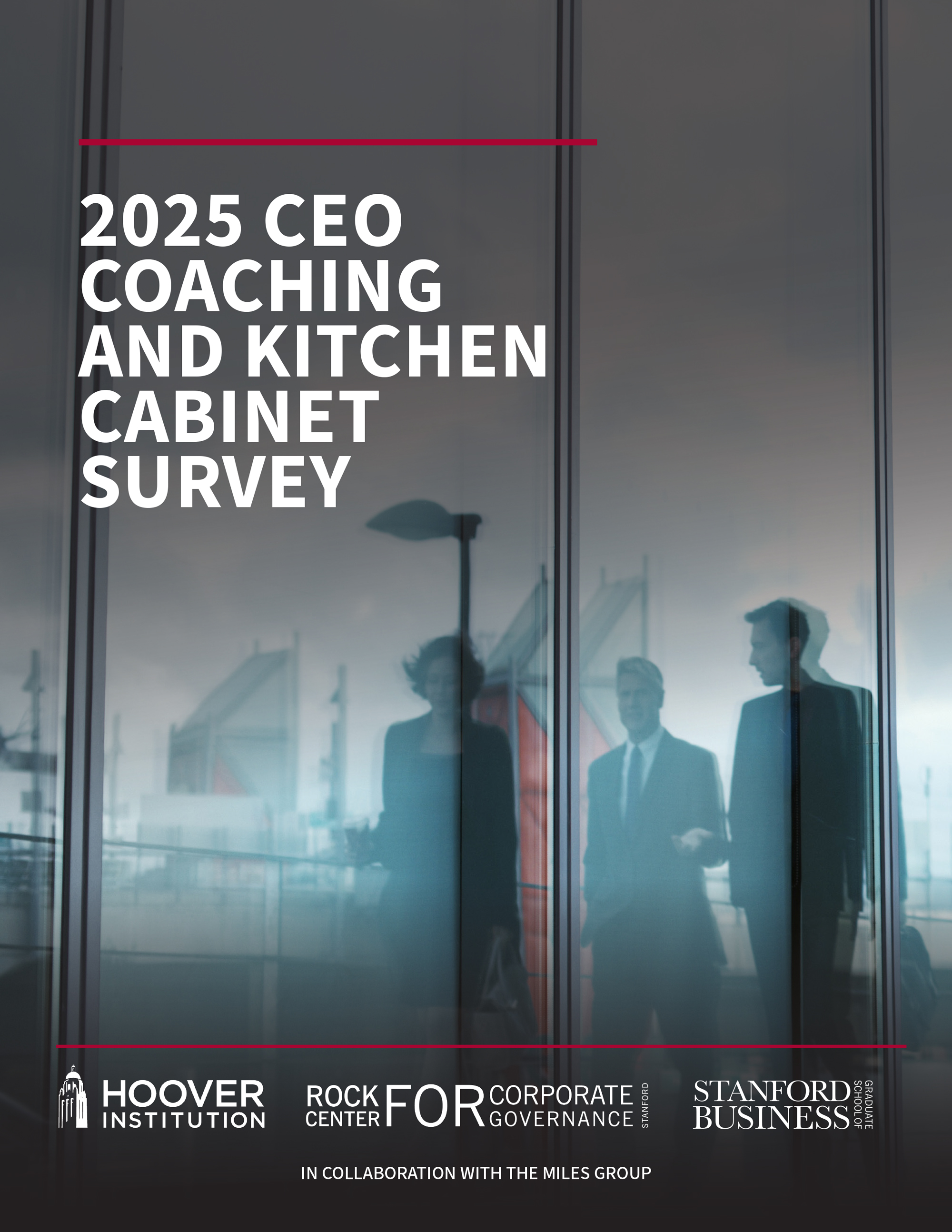 2025 CEO Coaching And Kitchen Cabinet Survey
