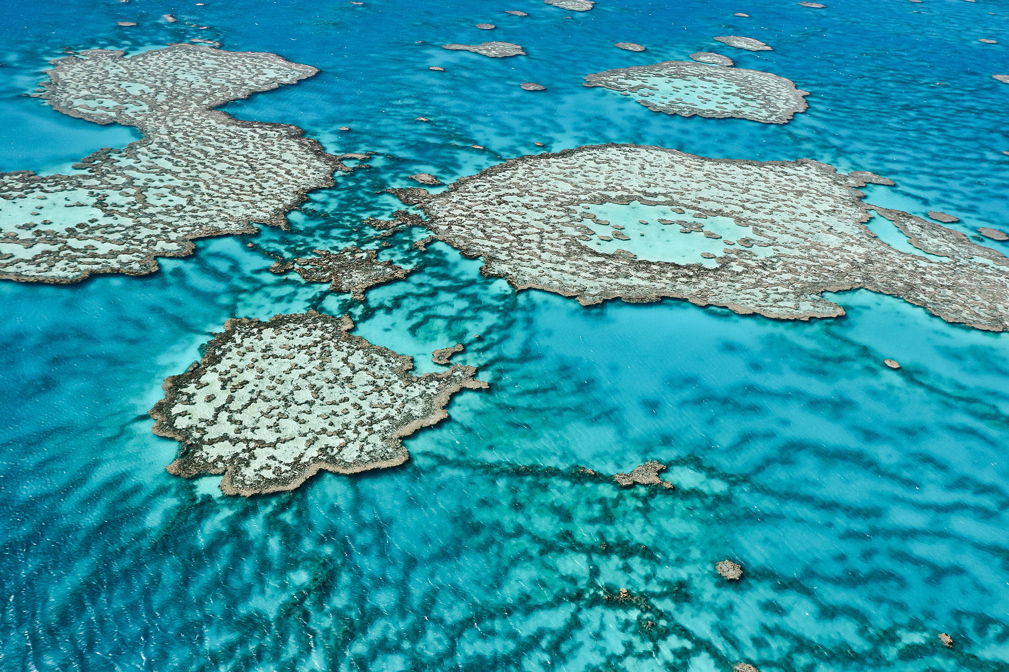 Great barrier reef australia