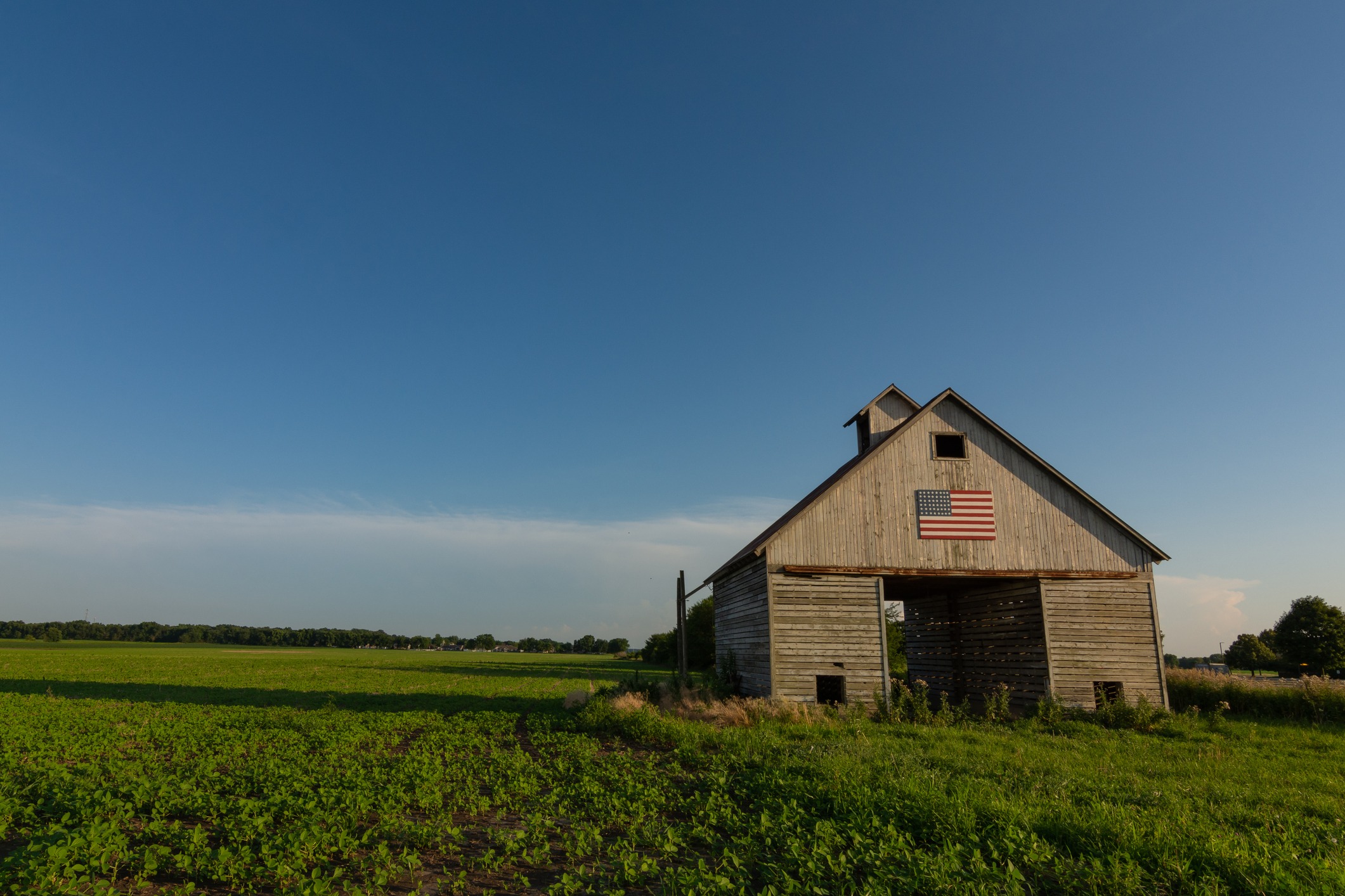 More Than Red Vs. Blue: Stories, Struggles, And Strengths In Rural America