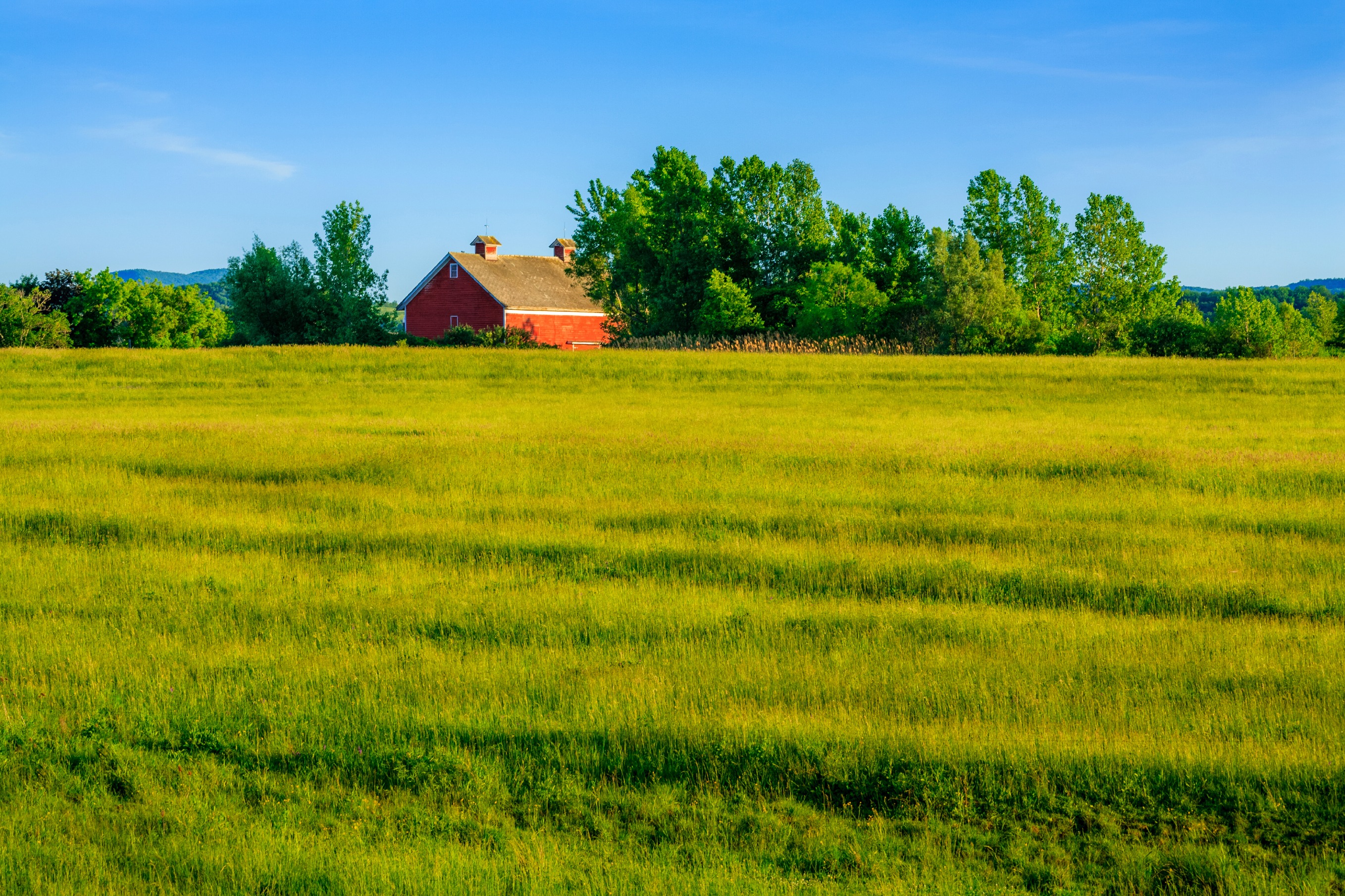 Farm iStock image