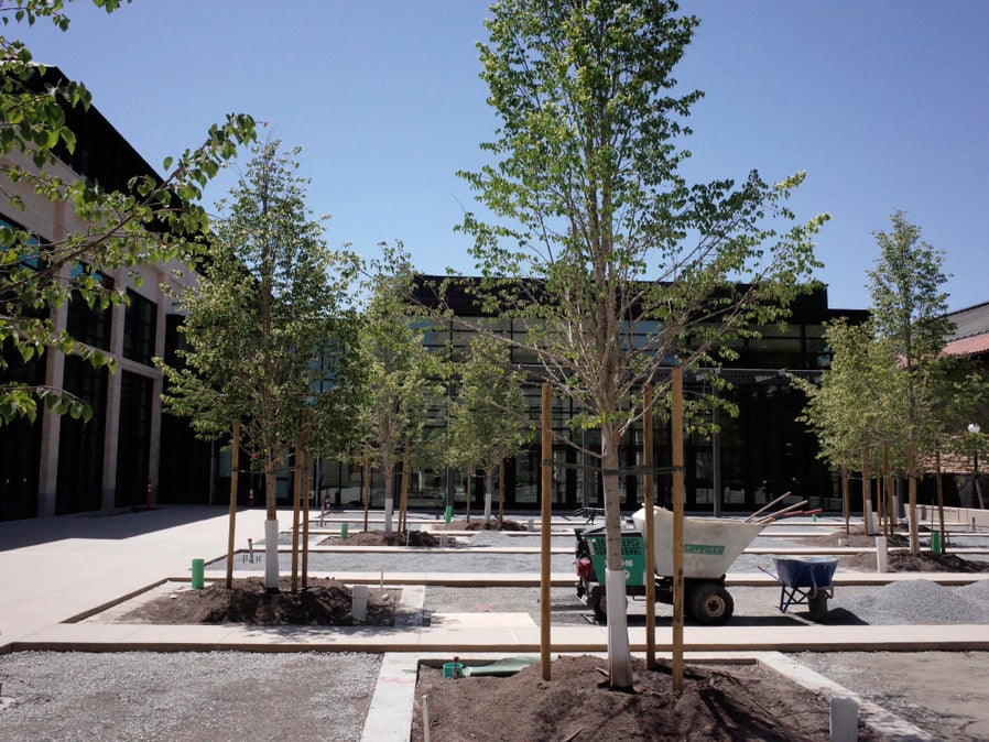 landscaping_work