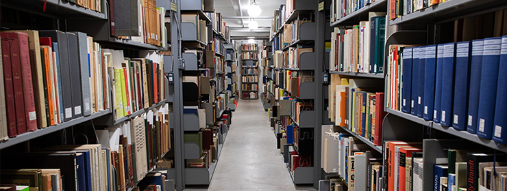 color photograph of the library stacks