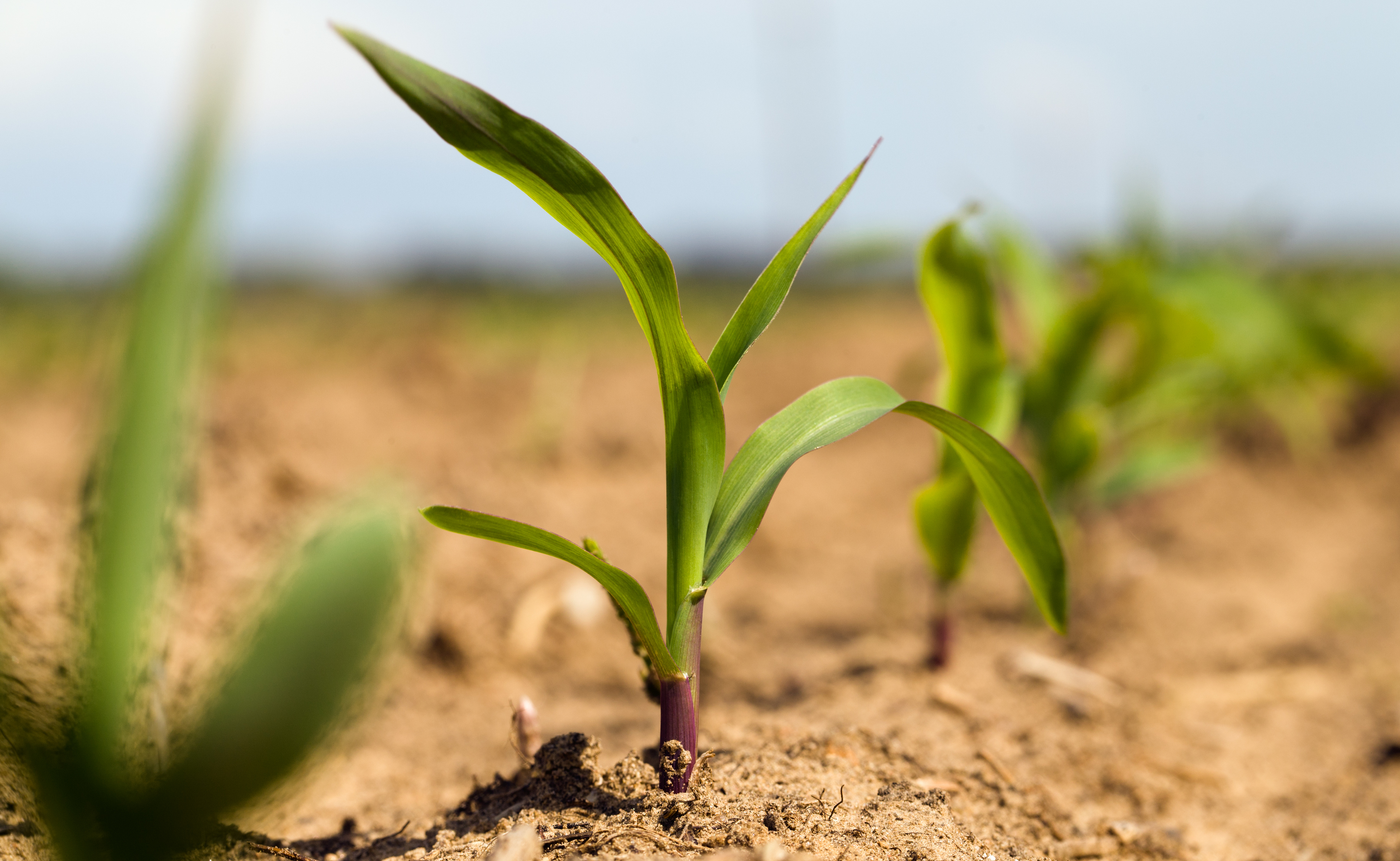 farming shutterstock  image
