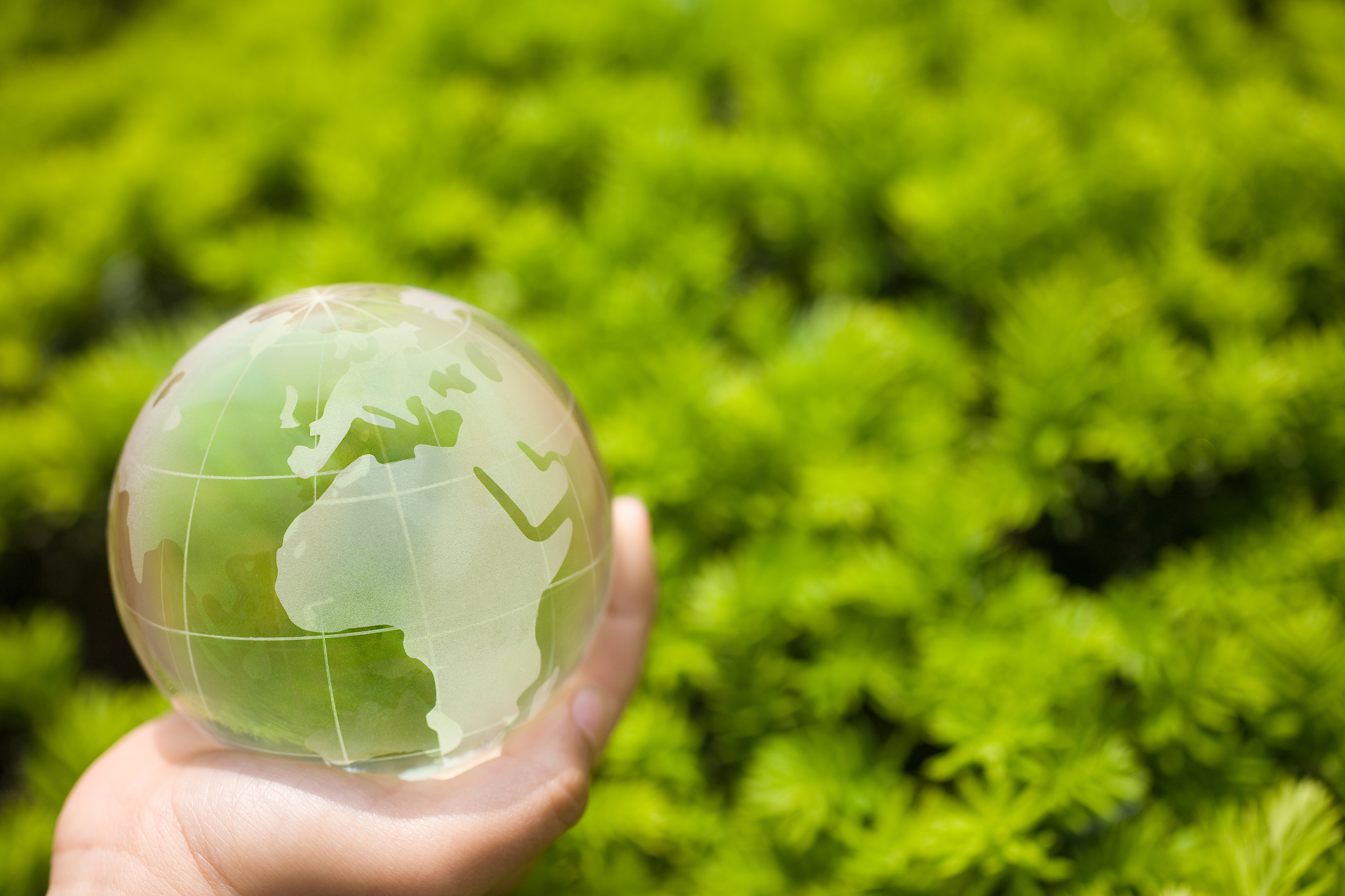 greenworld  image