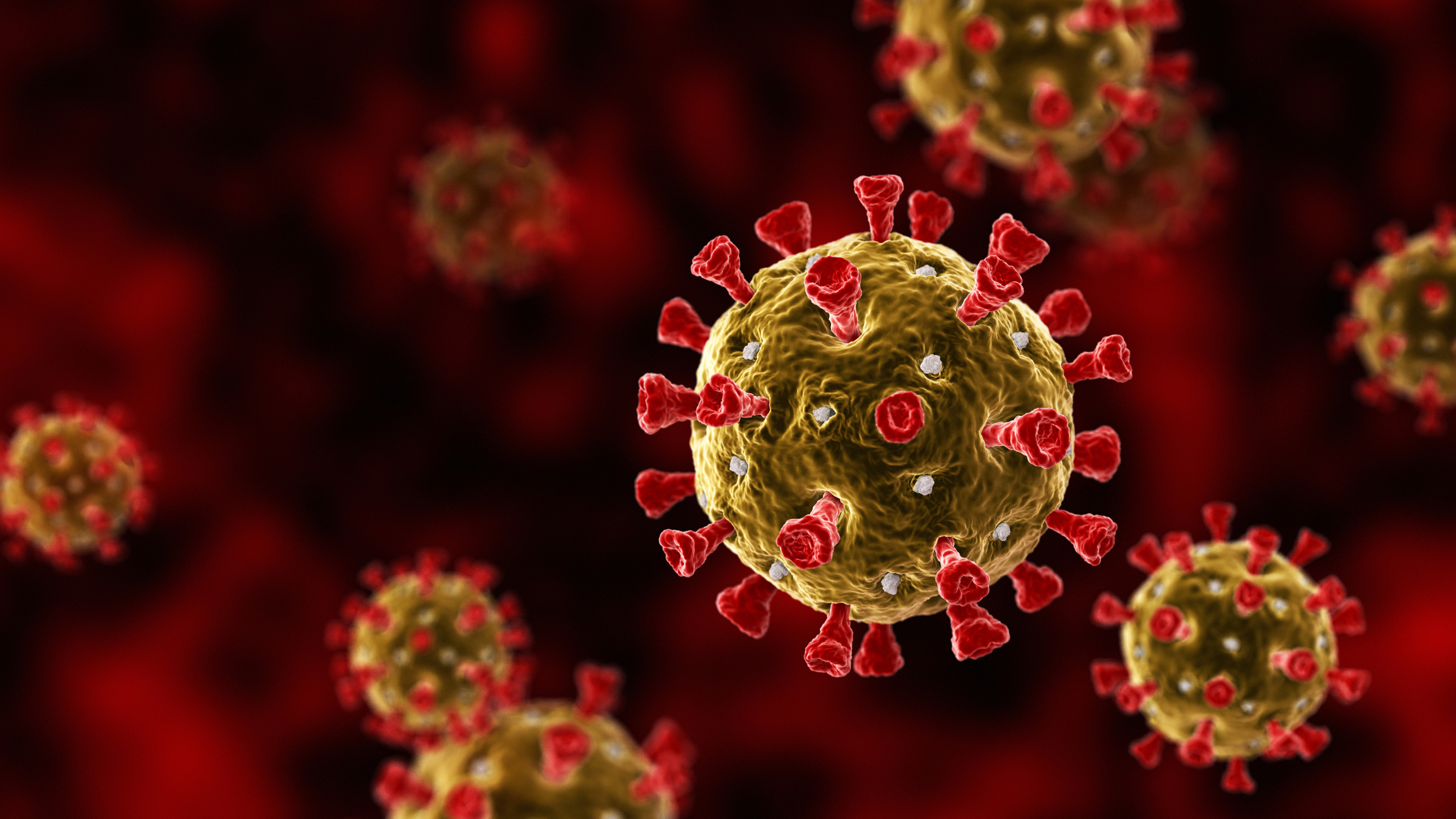 coronavirus   image