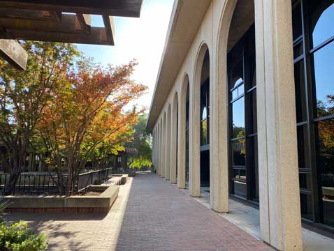 Entry to the reading room via HHMB