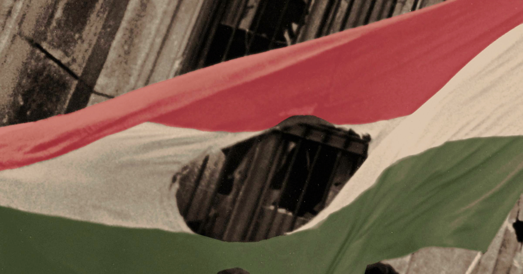 Colorize Hungarian Flag 1956