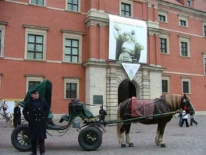 Image for An American Friendship: Herbert Hoover and Poland