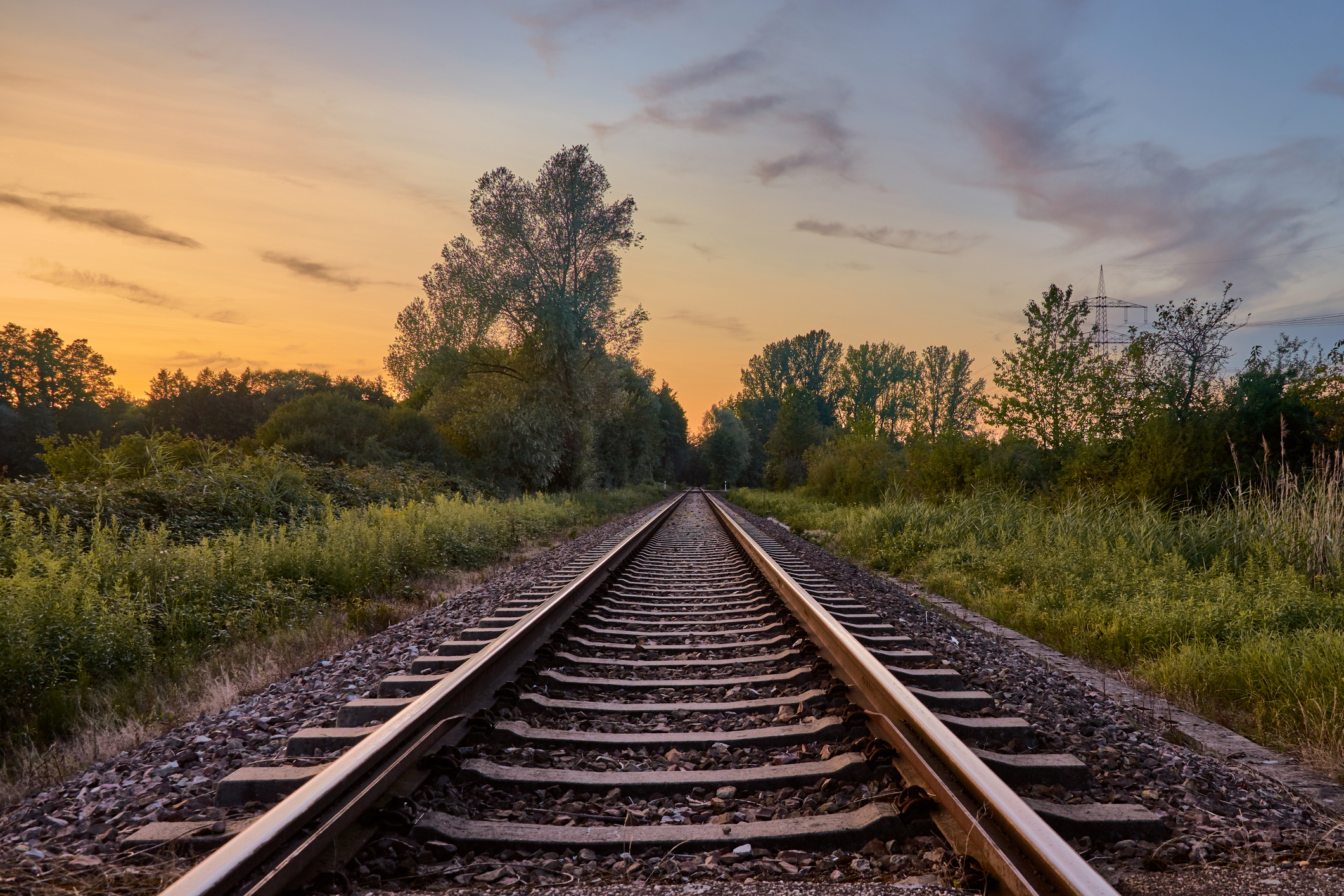 Railroad Regulation's Poor Track Record  Hoover Institution Railroad  Regulation's Poor Track Record