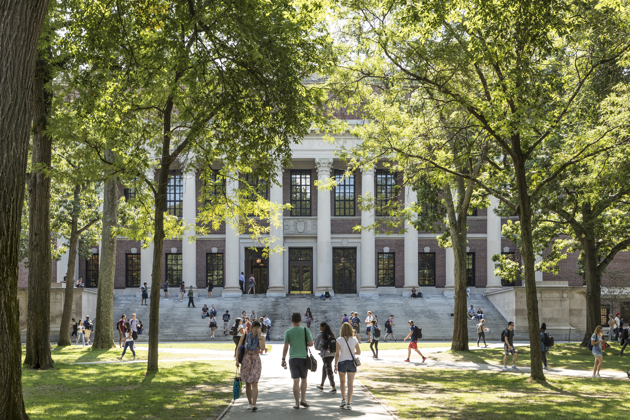 college   image