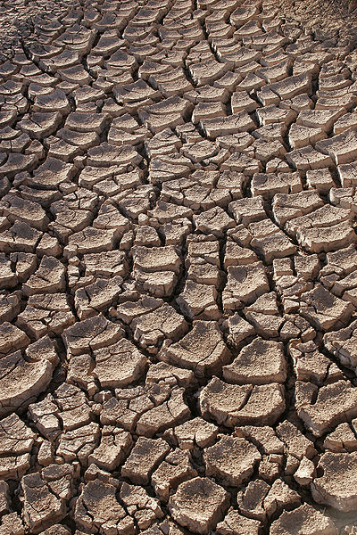 Dry ground in the Sonoran Desert, Sonora,Mexico