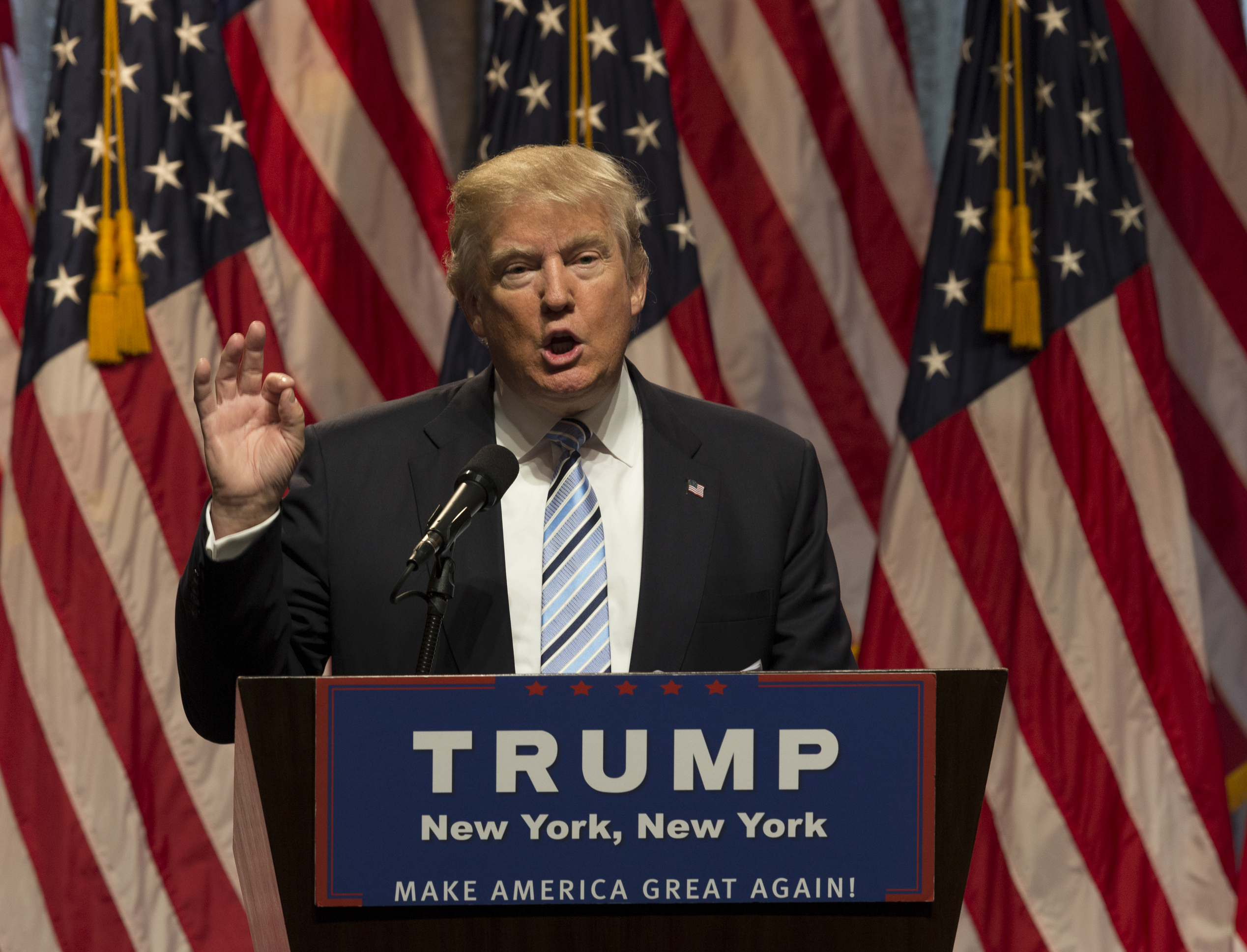 trump   large image