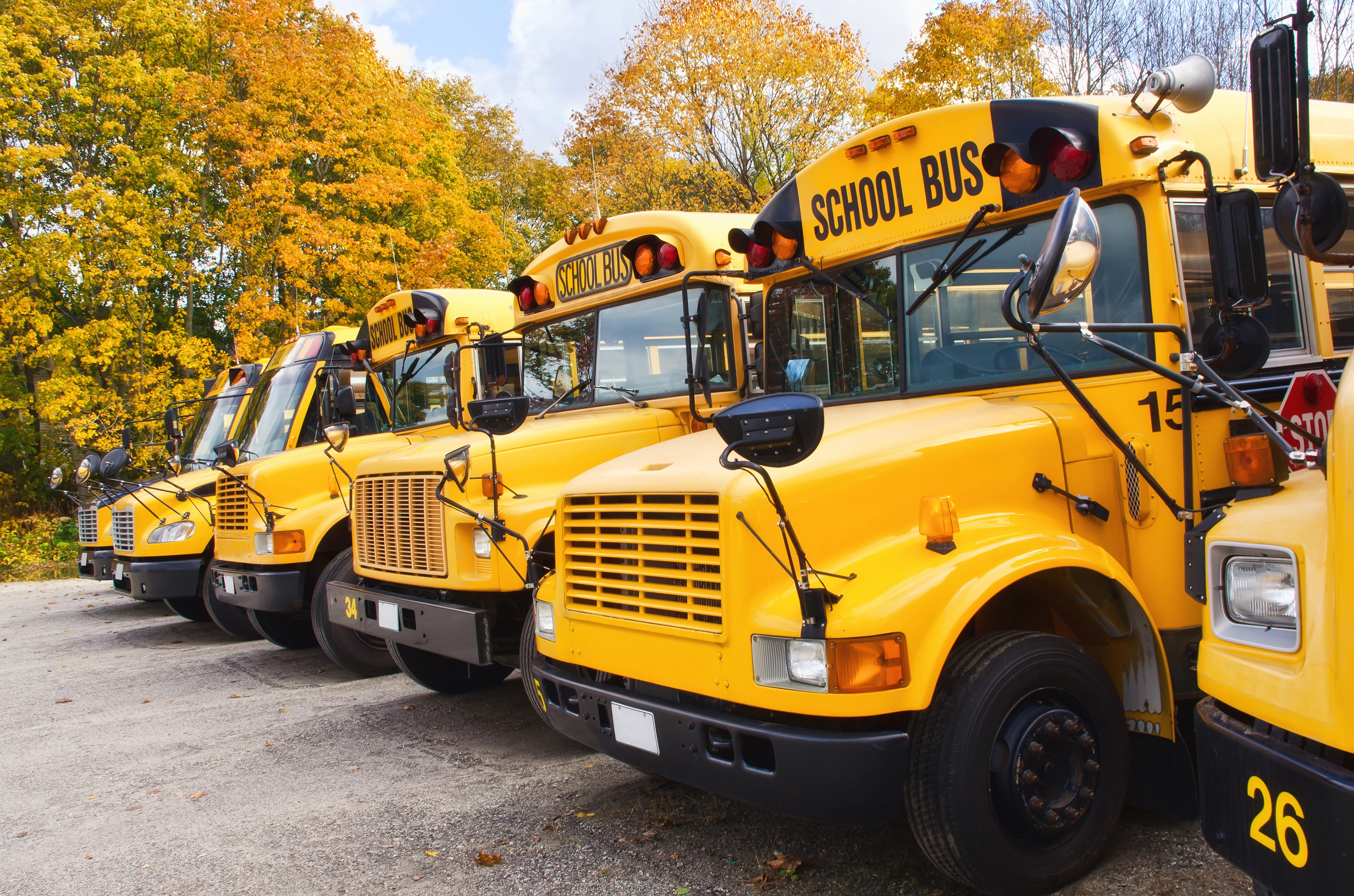 Желтый школьный автобус. Школьный автобус. Жёлтый школьный автобус. Американский школьный автобус. Американский желтый школьный автобус.