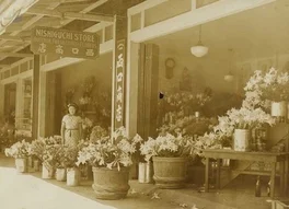 nishiguchi-store-front-flower