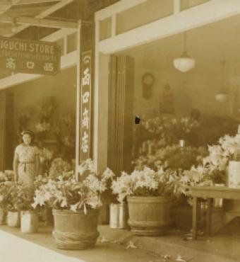 Nishiguchi Storefront woman standing amongst flowers