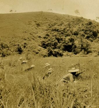 East River Column guerrilla warfare in Guangdong. Guerrillas crouching in a grassy field.