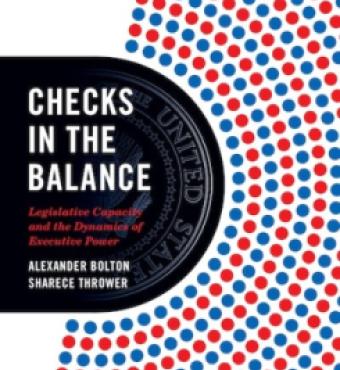 Checks in the Balance: Legislative Capacity and the Dynamics of Executive Power