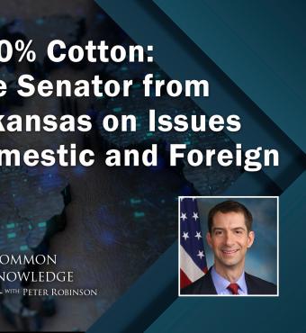 UK_Cotton