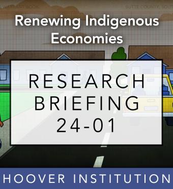 Renewing-Indigenous-Economies_ResearchBrief_7.jpg