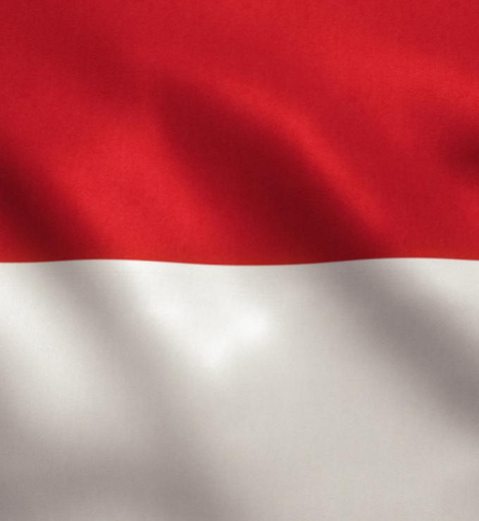 Indonesian Flag