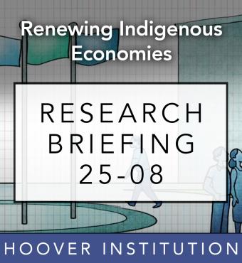 Renewing-Indigenous-Economies_ResearchBrief_8.jpg