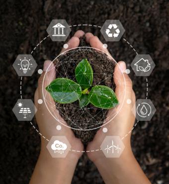 environmentiStock-1413842071.jpg 