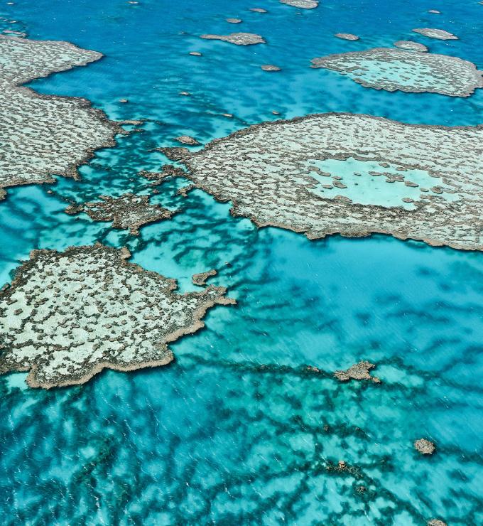 Great barrier reef australia