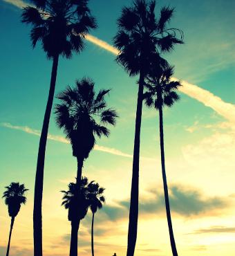 california shutterstock  image
