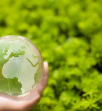 greenworld  image