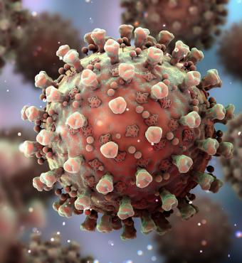 Coronavirus   image