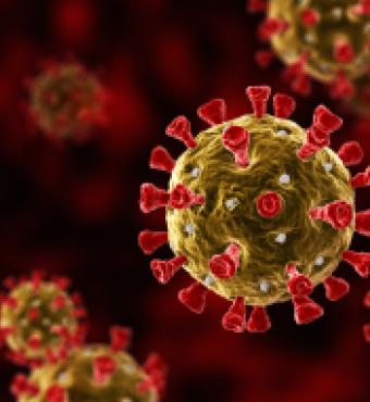 coronavirus   image
