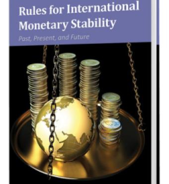 Image for Rules For International Monetary Stability