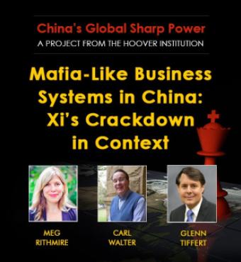 Image for Mafia-Like Business Systems In China: Xi’s Crackdown In Context
