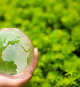 Image for Conservative Environmentalism 