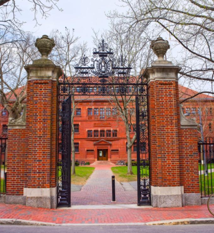 Image for Innovation and the Patent System